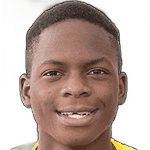 D. Atkinson