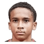 N. Le Bret